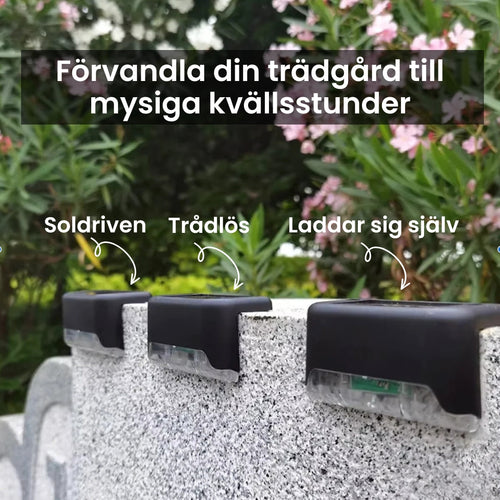 Solar-powered Outdoor Lamp